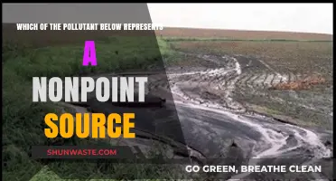 Nonpoint Source Pollution: Understanding the Various Pollutants