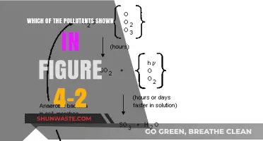 Understanding Pollutants: Figure 4-2 Explained