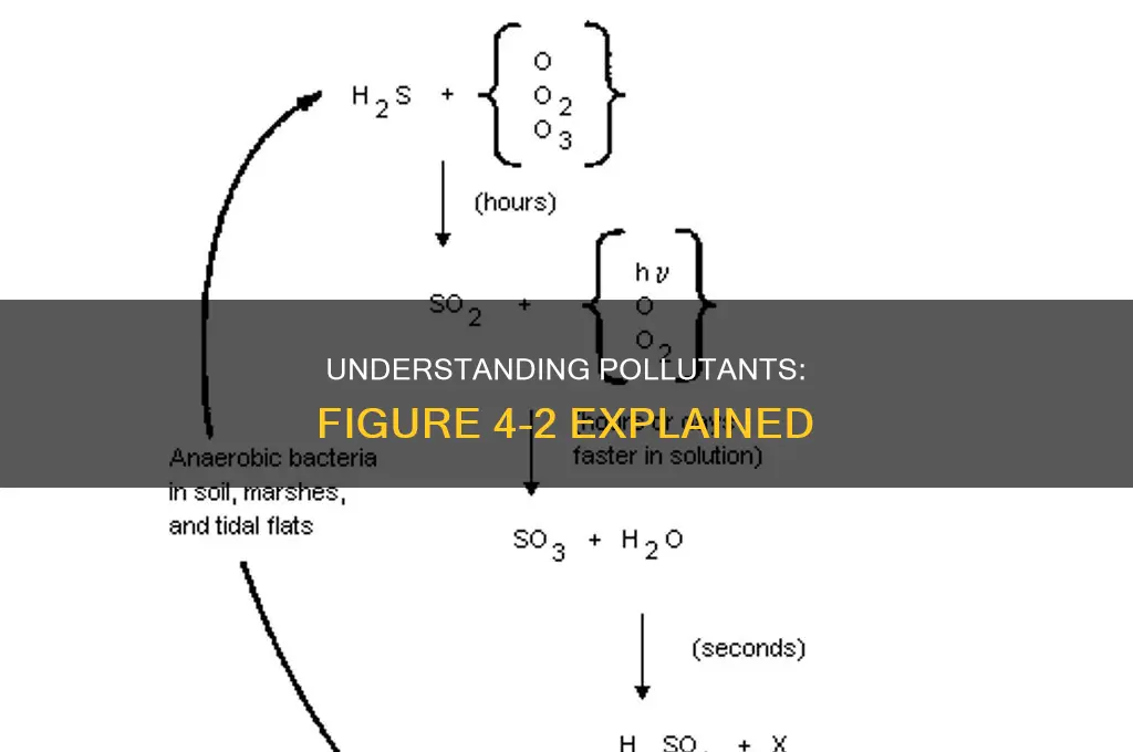 which of the pollutants shown in figure 4-2