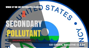 What Are the Six Criteria Pollutants?