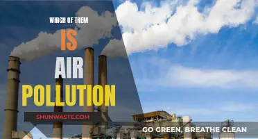 Air Pollution: What's in the Air We Breathe?
