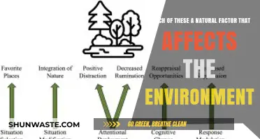 Exploring Natural Factors Shaping Our Environment: Key Influences Revealed