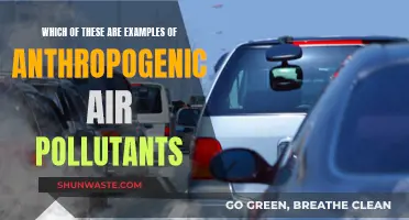 Air Pollutants: Human-Caused Impacts on Our Atmosphere