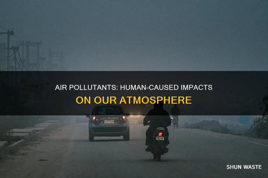 which of these are examples of anthropogenic air pollutants