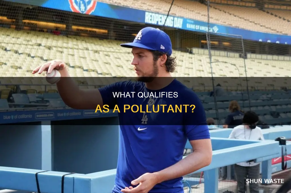 which of these best defines the term pollutant