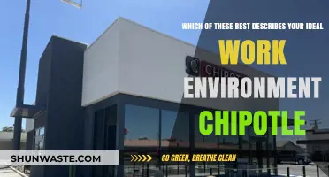 Chipotle's Ideal Work Environment: Teamwork, Fast-Paced, or Customer-Focused?