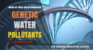 Unveiling Genetic Water Pollutants: A Comprehensive Guide to Understanding Their Impact