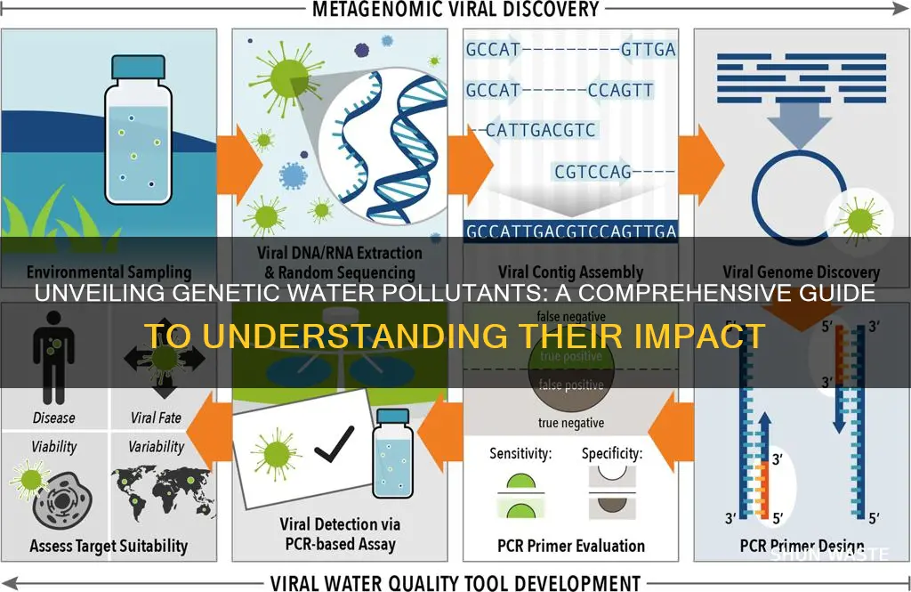 which of these can be considered genetic water pollutants