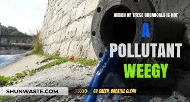 Chemicals: Pollutants or Not?