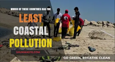 Cleanest Coastal Countries: Who's Winning the War on Pollution?