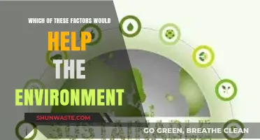 Sustainable Choices: Key Factors to Protect and Restore Our Environment