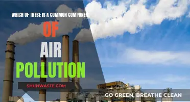 Air Pollution: What's Lurking in the Air We Breathe?