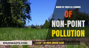 Understanding Non-Point Pollution Sources and Their Impact