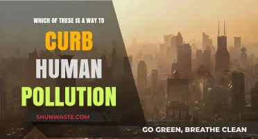 How Humans Can Reduce Their Pollution Impact