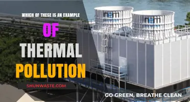 Thermal Pollution: Understanding Its Impact and Causes