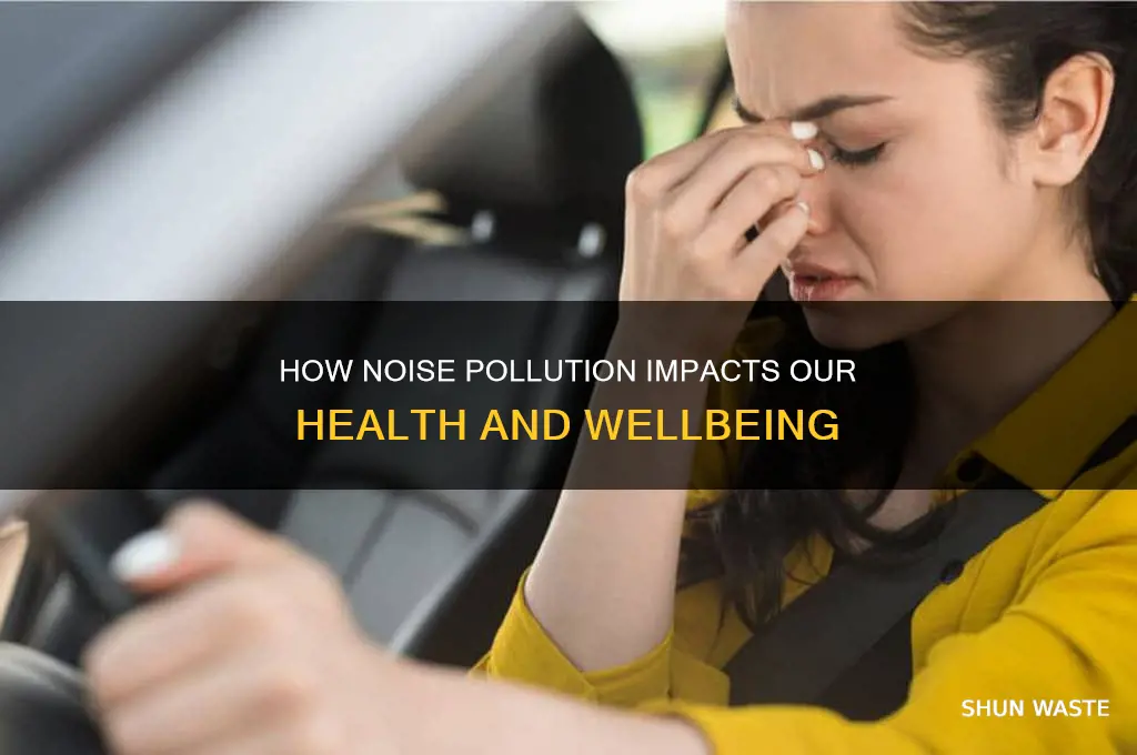 which of these is an impact of noise pollution