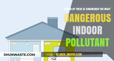 Deadly Indoor Pollutants: What's Lurking in Your Home?