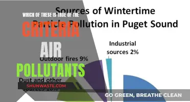 Air Pollutants: Understanding the Criteria and Their Impact