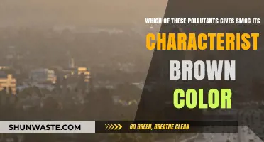 What Makes Smog Brown?