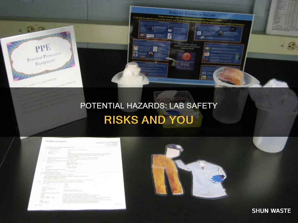 which of these poses the greatest risk in the lab