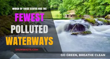 Which States Have the Cleanest Waterways?