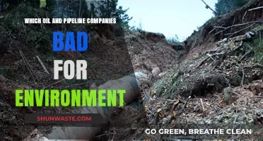 Environmental Impact: Oil and Pipeline Companies Harming Our Planet