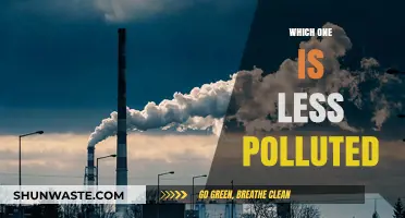 Air and Water: Which Element is Less Polluted?