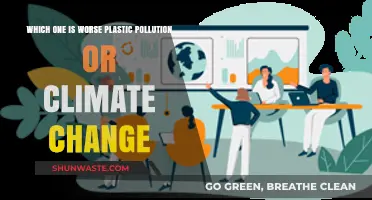 The Battle of Environmental Threats: Plastic vs Climate Change