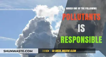 Air Pollutants: Which Culprits are Responsible?