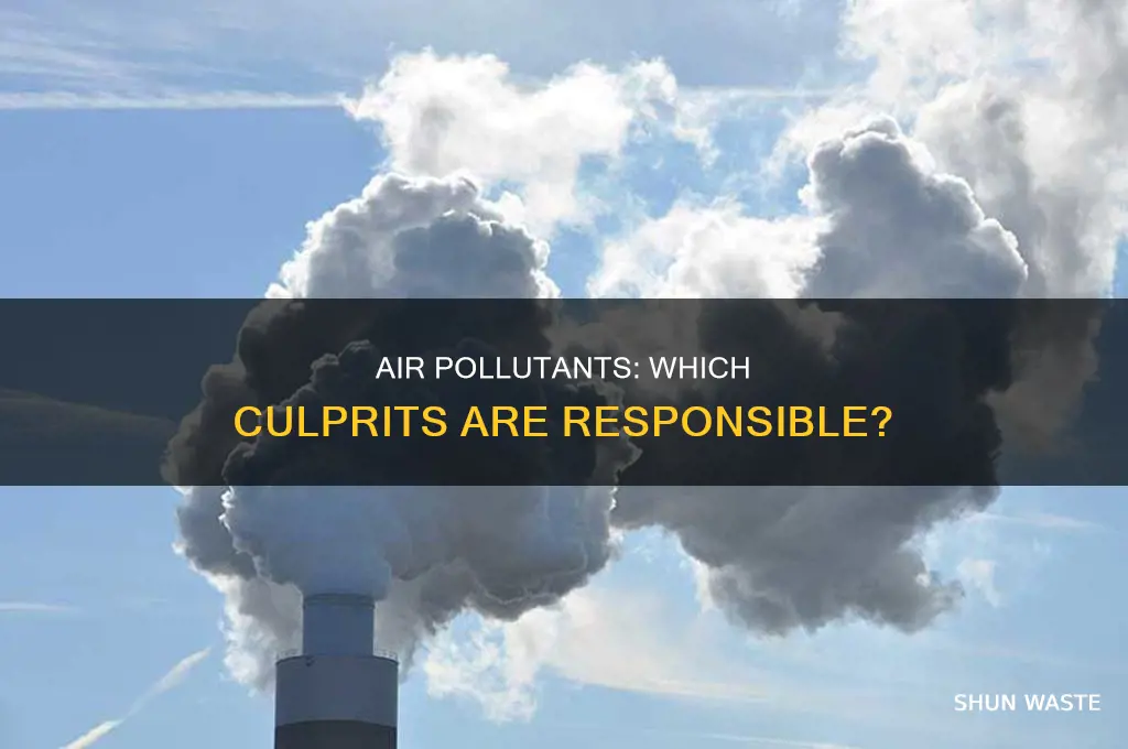 which one of the following pollutants is responsible