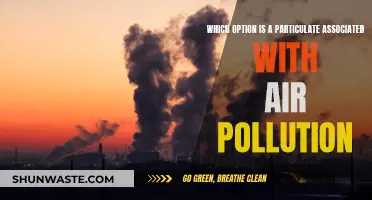 Particulate Matter: Understanding Air Pollution's Tiny Killers