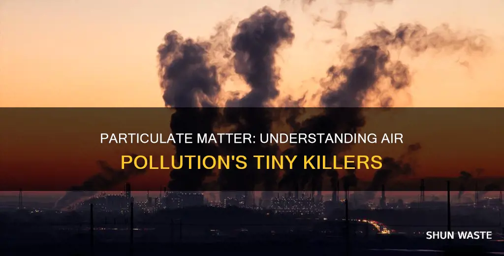 which option is a particulate associated with air pollution