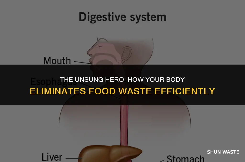 which organ is primarily responsible for eliminating food wastes