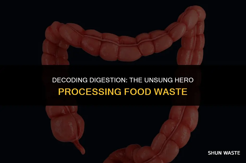 which organ processes food waste