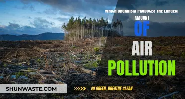 The Worst Air Polluters: Nature's Dark Side