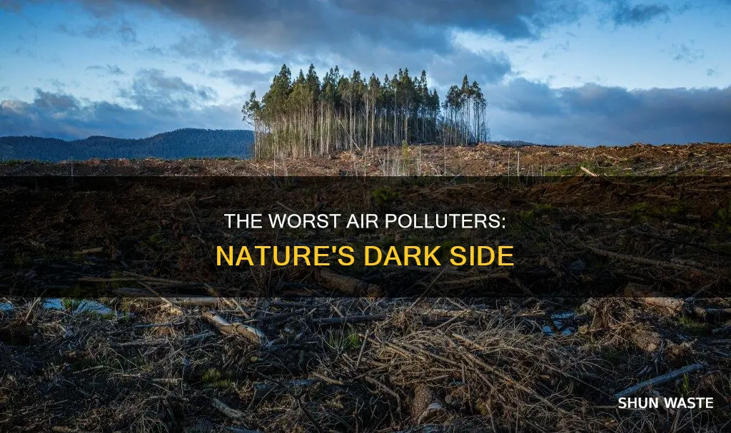 which organism produces the largest amount of air pollution