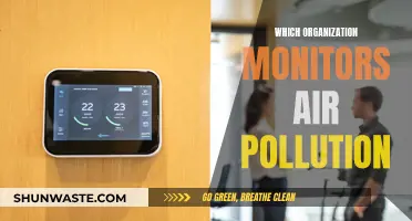 Air Pollution Watchdogs: Who's Monitoring the Air We Breathe?