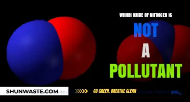 Understanding Non-Polluting Oxides of Nitrogen