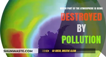 The Ozone Layer: Pollution's Primary Victim