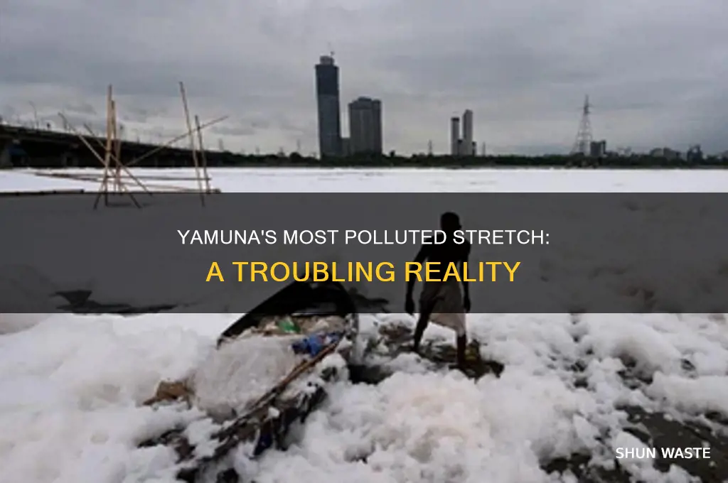 which part of yamuna is most polluted