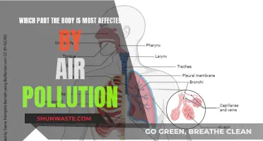 Air Pollution: Your Body's Worst Enemy