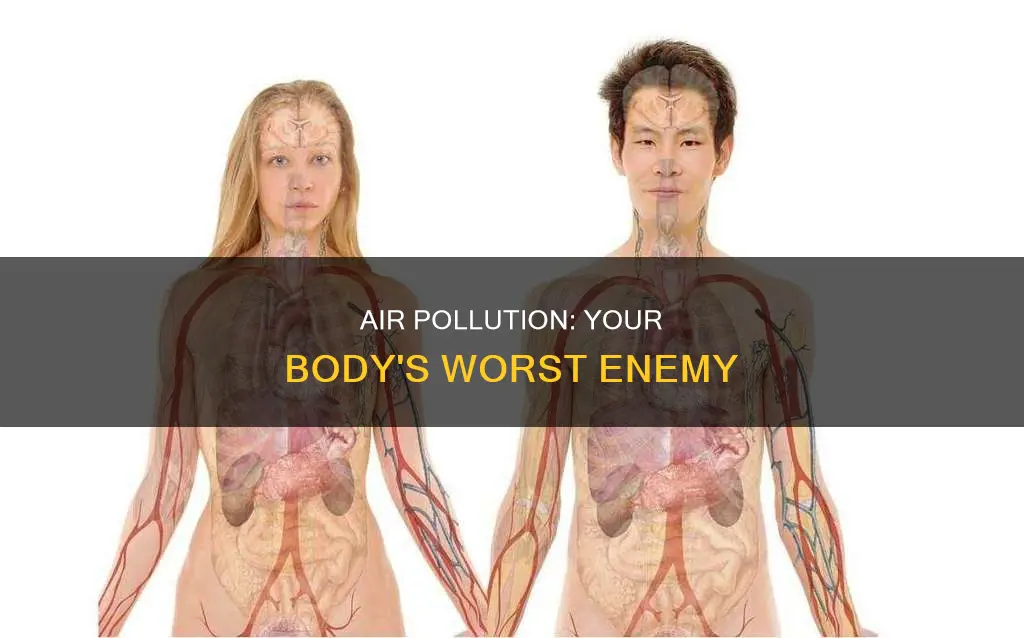 which part the body is most affected by air pollution