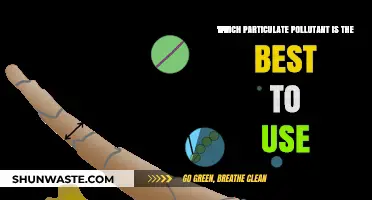 Particulate Pollutants: Choosing the Lesser Evil