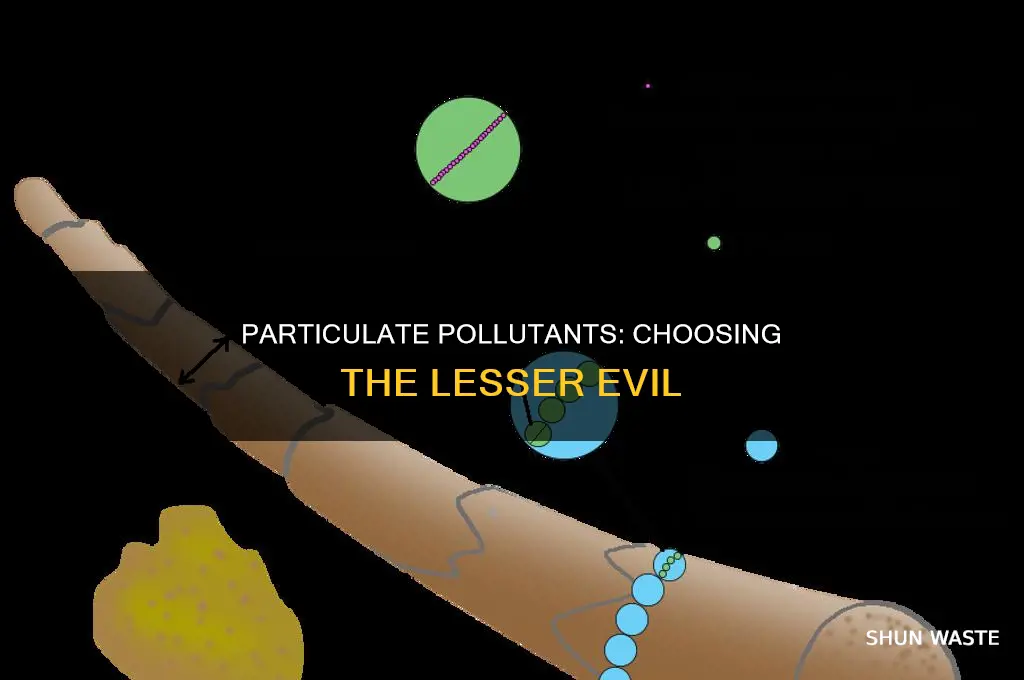 which particulate pollutant is the best to use
