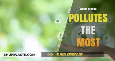 Who Pollutes the Most? Uncovering the Truth