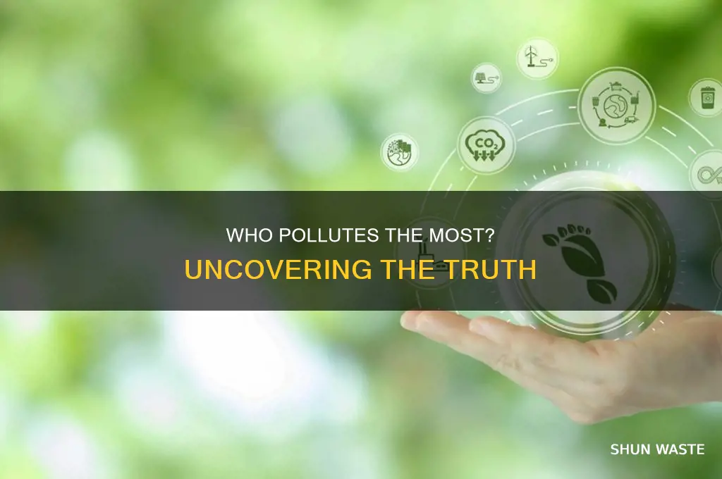 which person pollutes the most