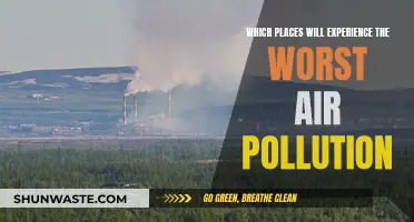 Air Pollution's Future Victims: A Global Crisis