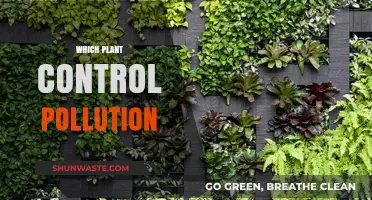 Plants: The Pollution Control Army