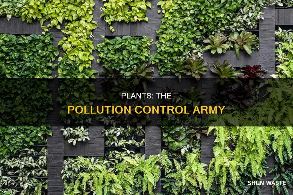 which plant control pollution