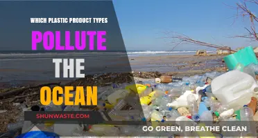 Plastic Pollution: Ocean-Bound Plastics and Their Impact